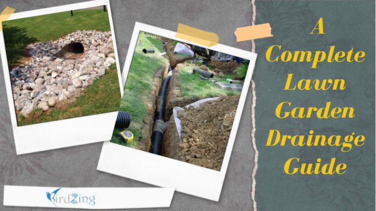 12 Ways to Improve Lawn Drainage: A Complete Lawn Garden Drainage Guide