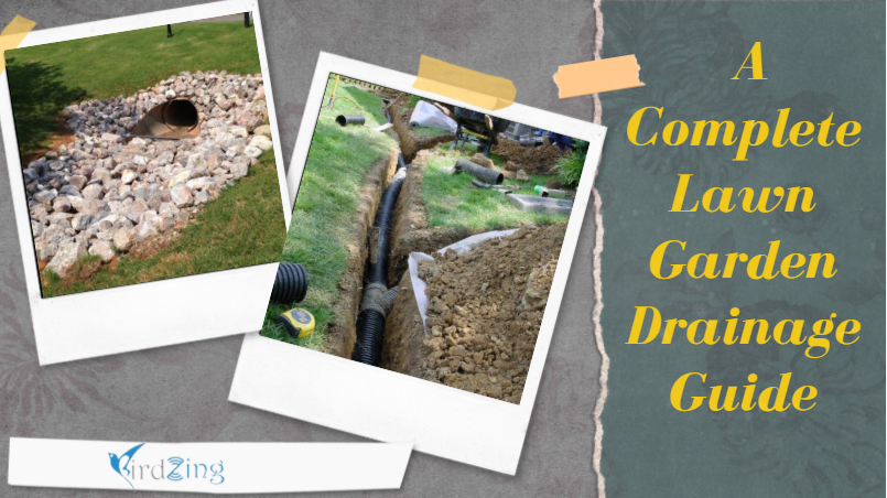 A Complete Lawn Garden Drainage Guide