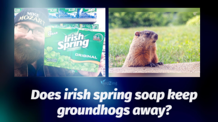 does irish spring soap keep groundhogs away