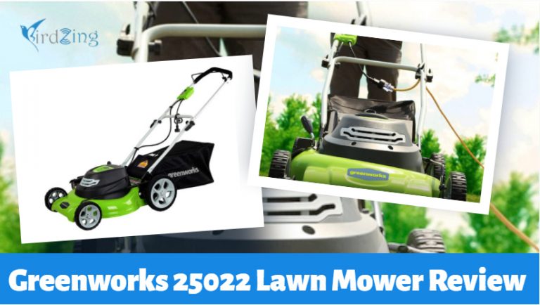 Greenworks 25022 Lawn Mower Review