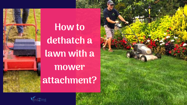 How to dethatch a lawn with a mower attachment
