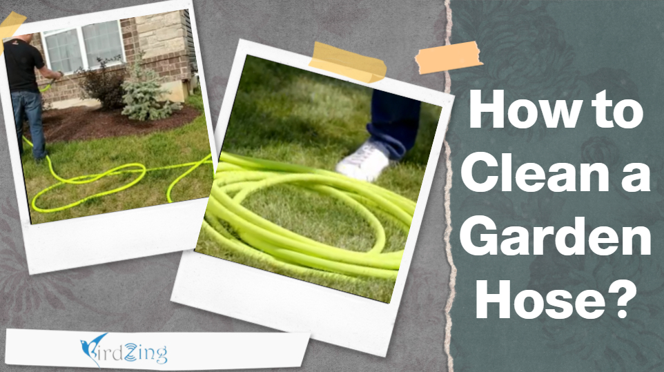 How to Clean a Garden Hose