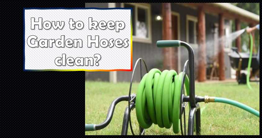 How to keep your garden hoses clean