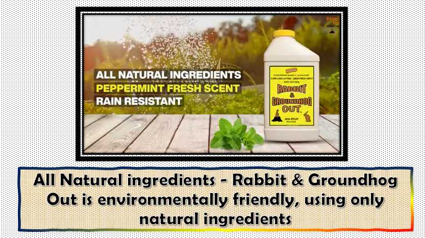 All Natural ingredients - Rabbit & Groundhog Out is environmentally friendly using only natural ingredients