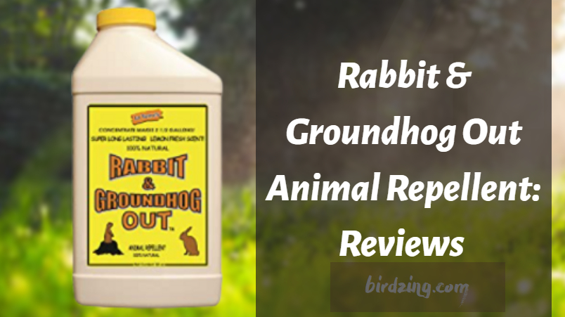 Rabbit & Groundhog Out Animal Repellent