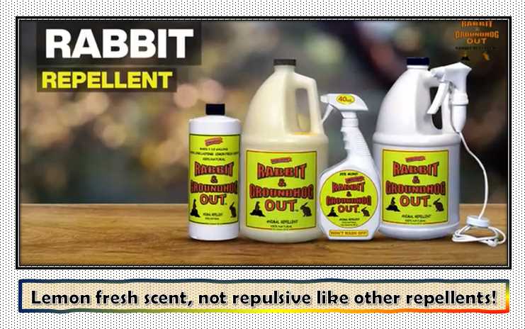 Rabbit & Groundhog Repellent