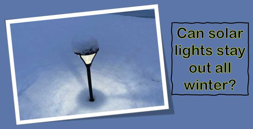 Can solar lights stay out all winter