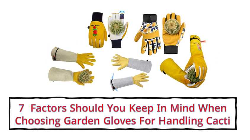 Best Gardening Gloves for Cactus