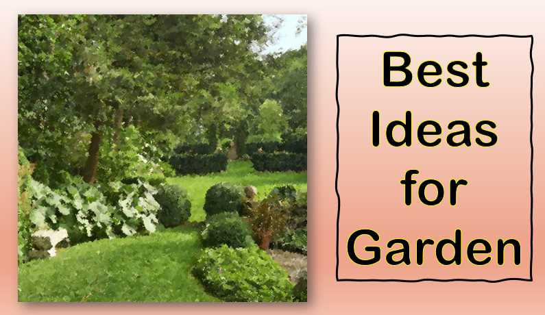 American Summer Gardening Tips