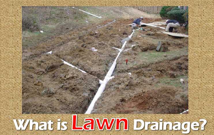 What is Lawn Drainage