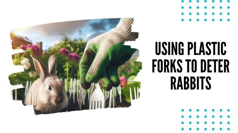 Using Plastic Forks to Deter Rabbits