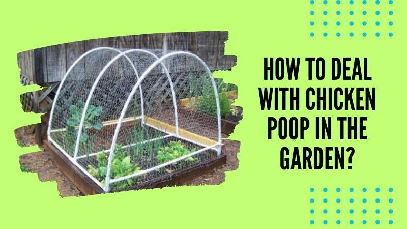 How to hold chicken wire on a raised garden?