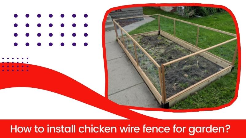 How to install chicken wire fence for garden?